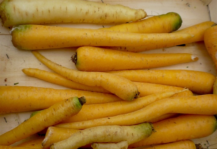 carrots-yellow