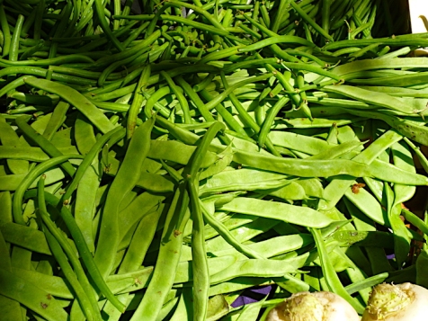 Cocos, or flat beans, with green beans above.